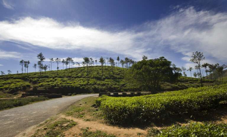 Best Road Trip Places in Kerala