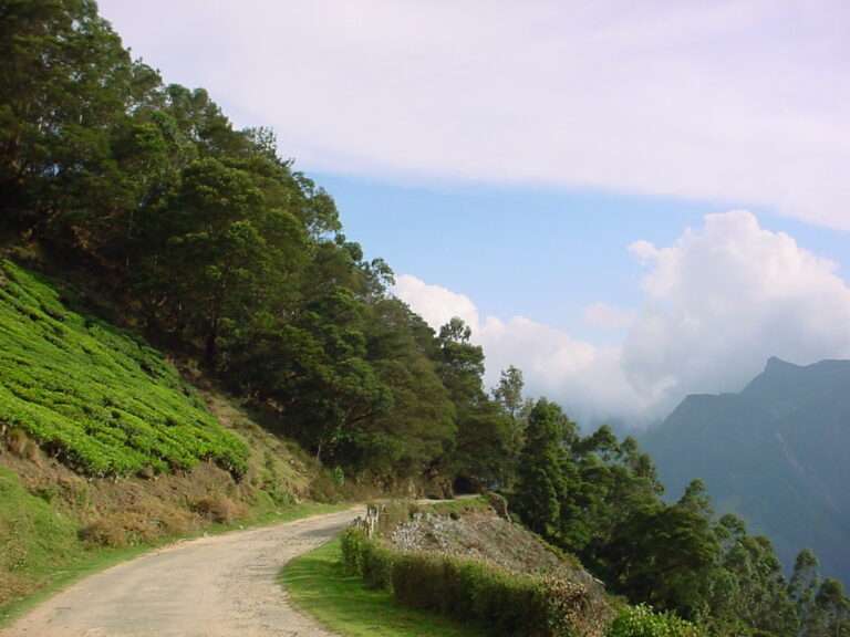 Best Tourist Places in Munnar