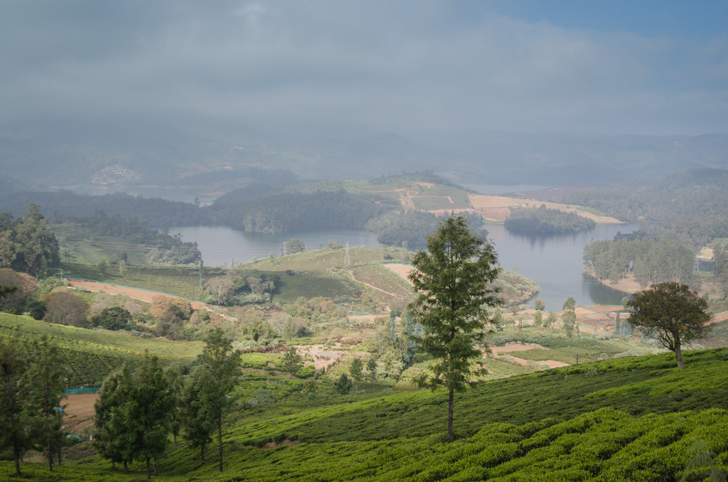 Places to visit in Ooty