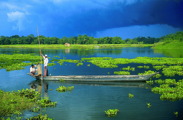 5 Best Places to visit in Assam