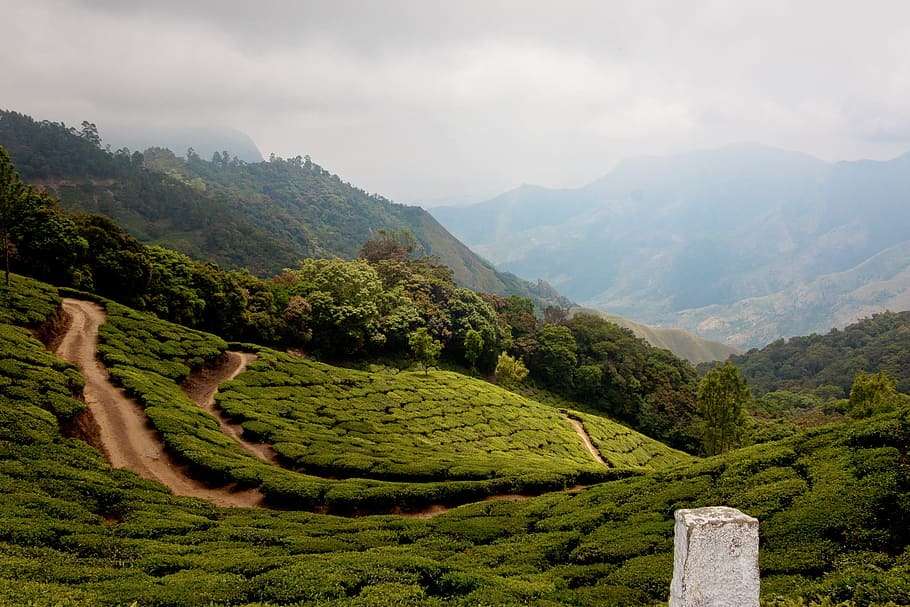 Best Road Trip Places in South India