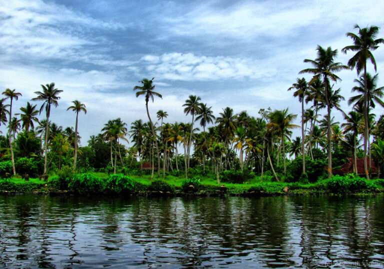 Tourist Places in Alleppey