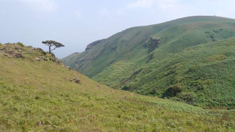 Places to visit in Chikmagalur