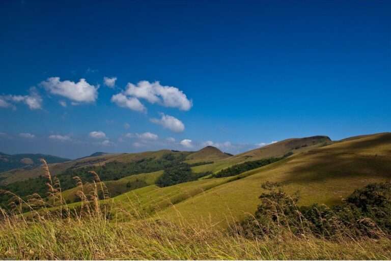 Places to visit in Chikmagalur