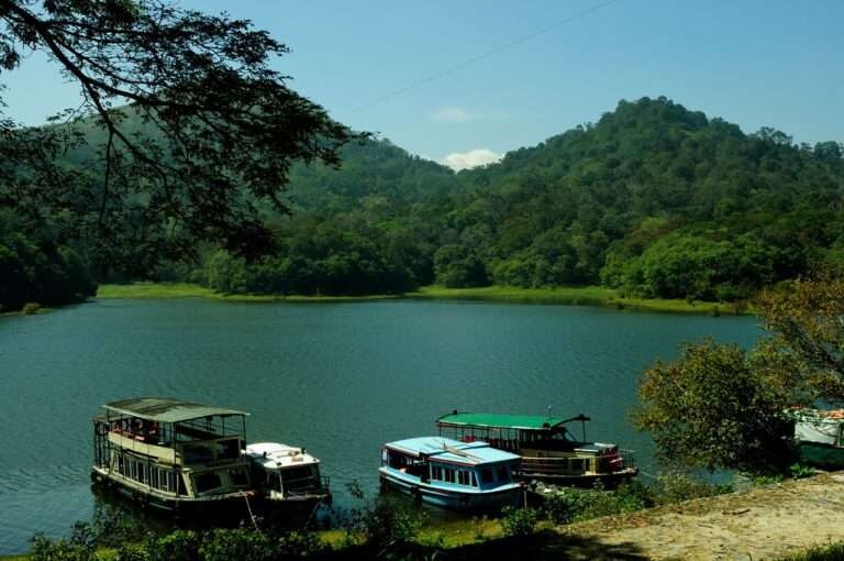 Best Places to visit in Thekkady