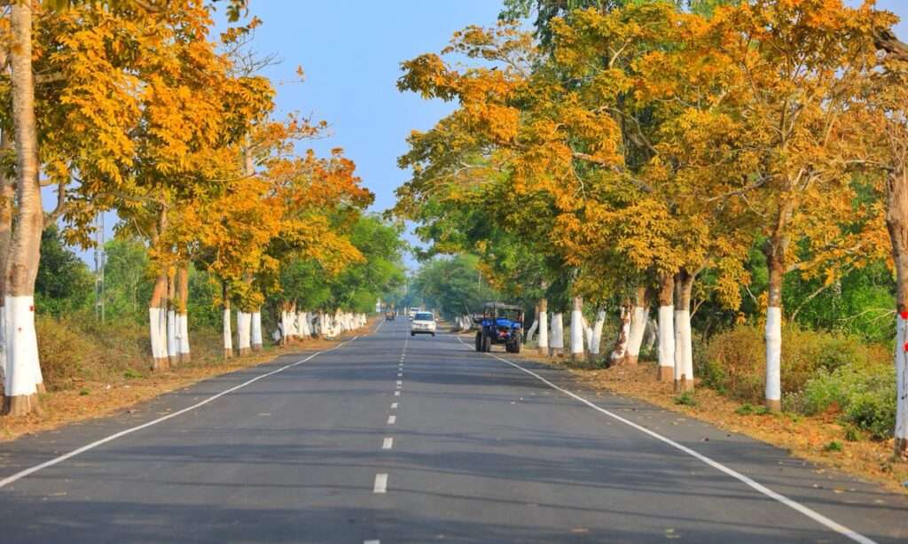 Best Road Trip Places from Bhubaneswar 
