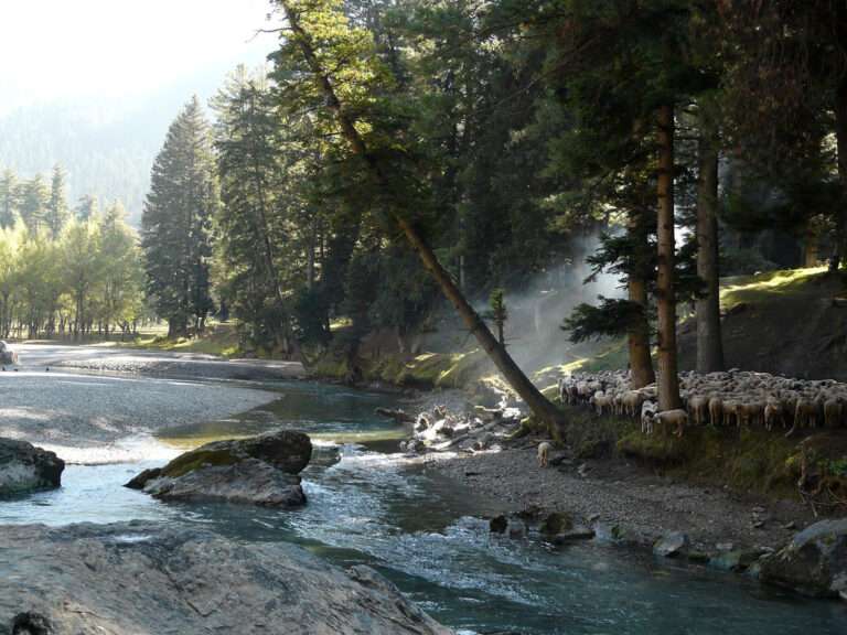 7 Best Tourist Places in Jammu and Kashmir
