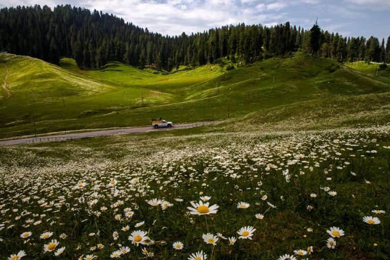 Best Road Trips Places from Srinagar