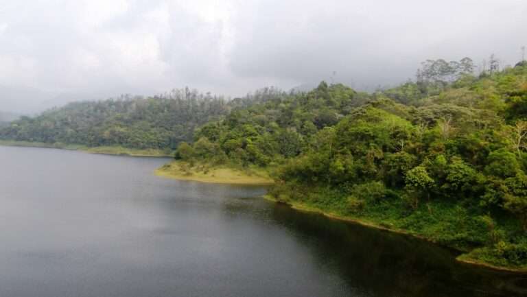 Best Places to Visit in Valparai