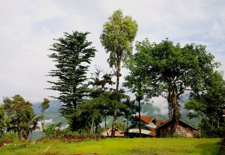 Best Places to visit in Nagaland